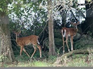 10394 Jamesons Mill Rd, Culpeper, VA 22701