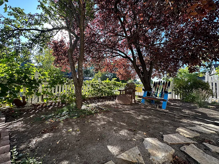 Front yard with fruit trees