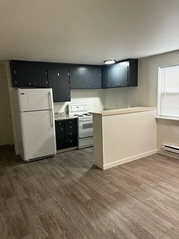 1 bed, 250 sqft, $800 — Photo 1