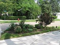 1st image of 4256 Olivia Ave