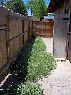 2nd image of 37 E El Parque Dr APT D