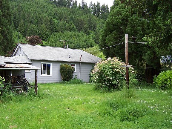 Nice back yard area 