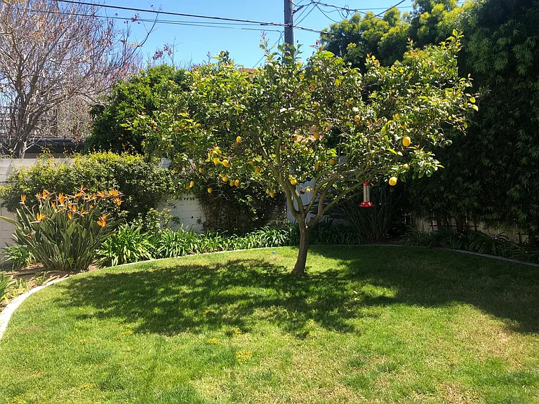 3651 Bayonne Dr — Photo 18