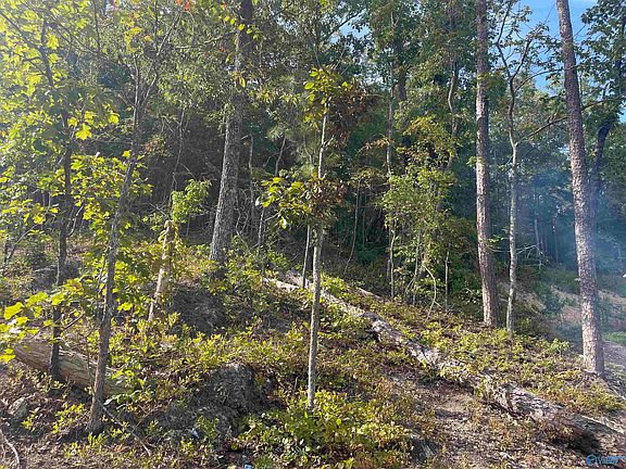 3rd image of 797 Dripping Rock Rd