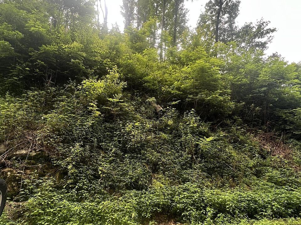 1st image of 527 Deep Hollow Rd Lot 527