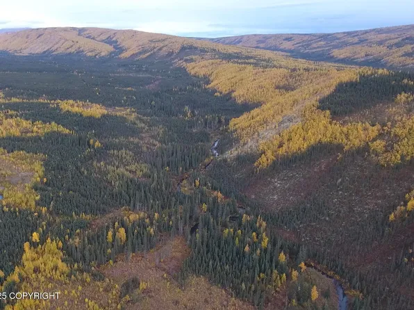 0 Little Boulder Crk, Manley Hot Springs, AK 99756