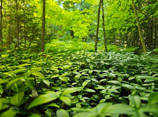 725 Purple Valley Rd, South Bruce Peninsula, ON N0H2T0