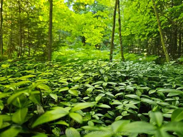 725 Purple Valley Rd, South Bruce Peninsula, ON N0H 2T0