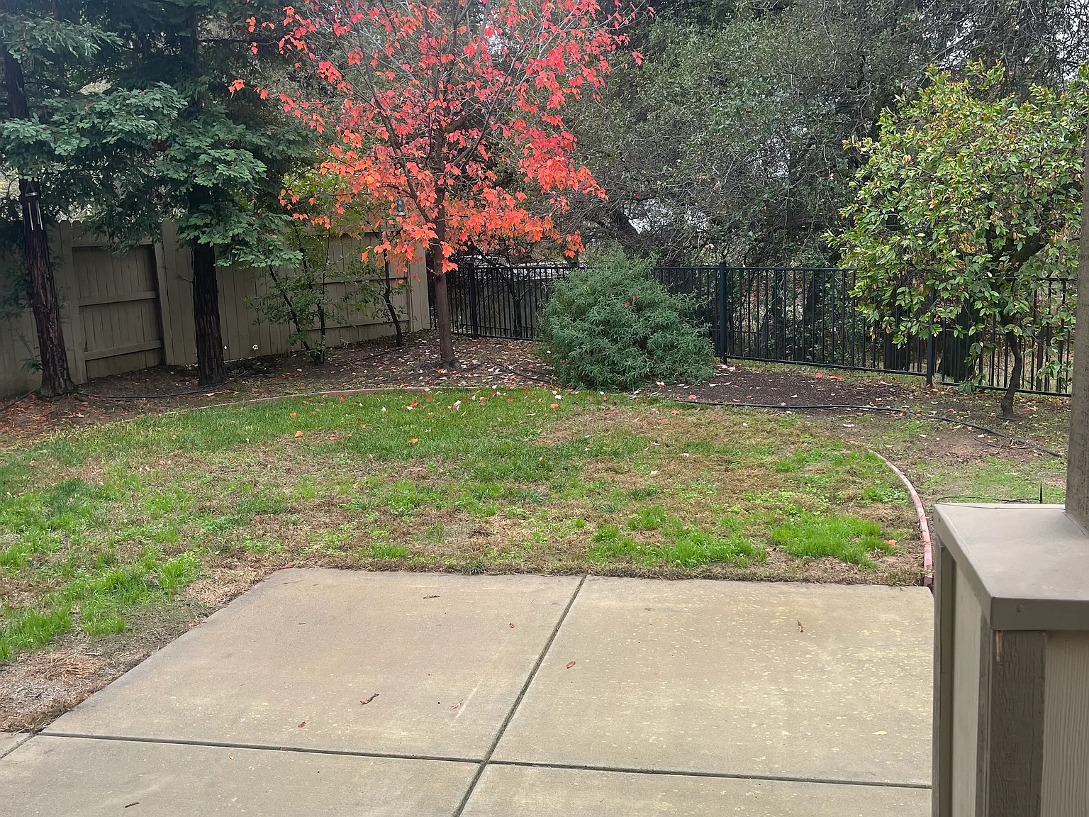 4 bed, 2011 sqft, $3,450 — Photo 2