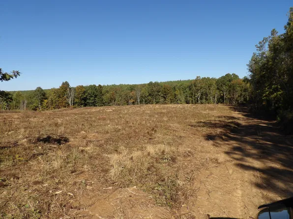 18 Summer City Rd, Evensville, TN 37332