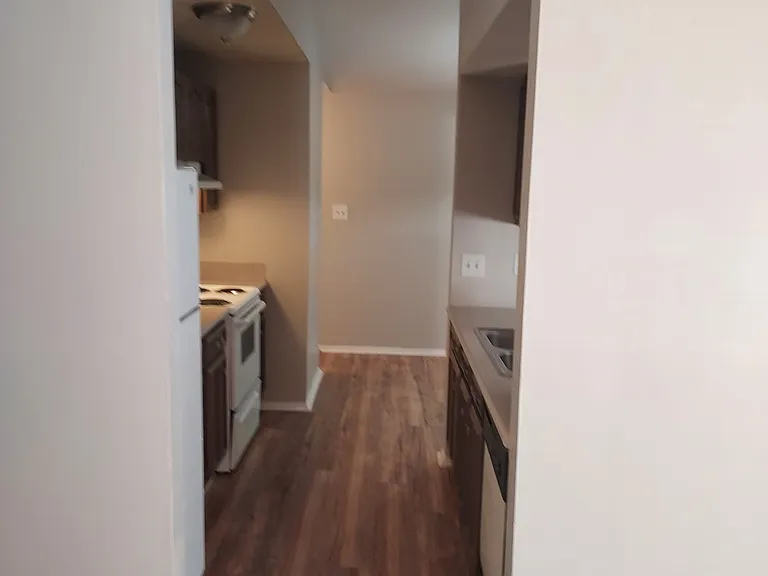 7836 Ivy Hollow Dr — Photo 6
