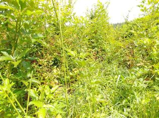 Old Hillsboro Rd, Forest, MS 39074