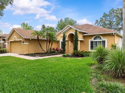 19026 Dove Creek Dr, Tampa, FL, 33647