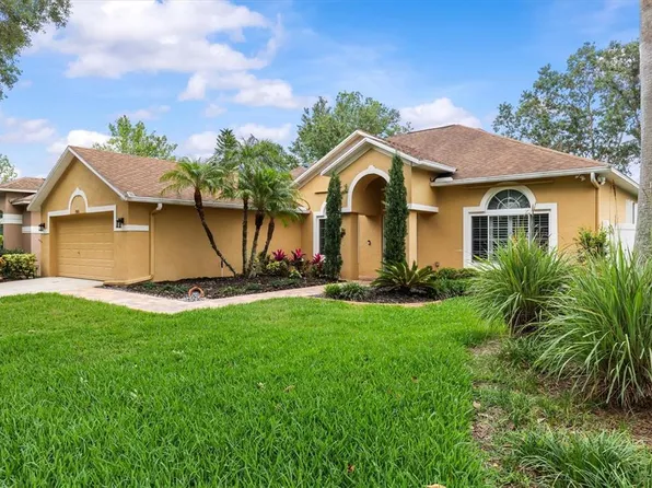 19026 Dove Creek Dr, Tampa, FL 33647