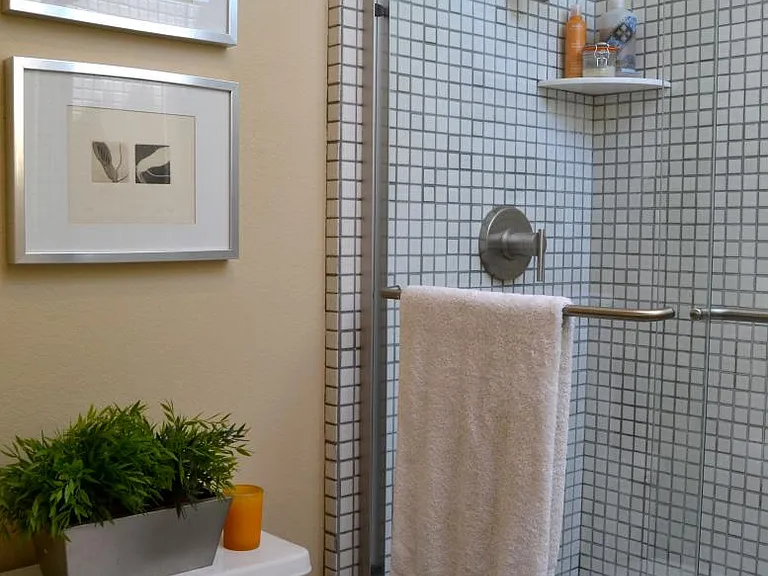 Master bathroom