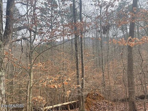 2nd image of 1008 Blair Loop Rd