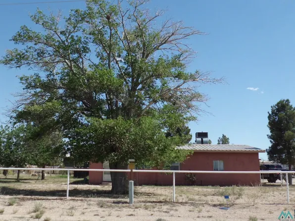 169 W Ash Rd, Loving, NM 88256