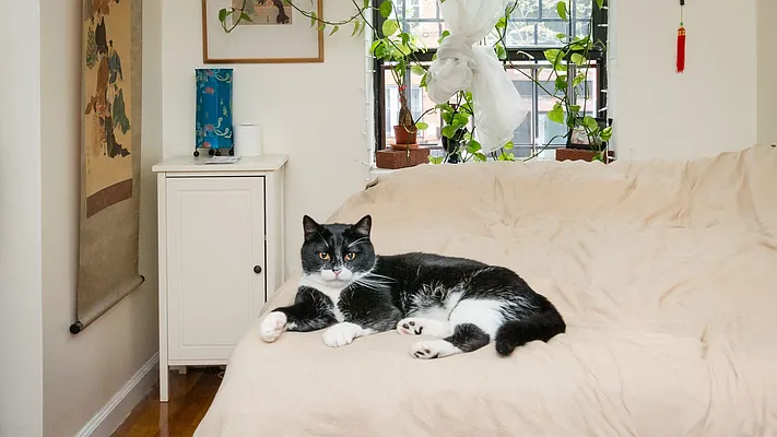 Rented by Nooklyn NYC LLC | media 21