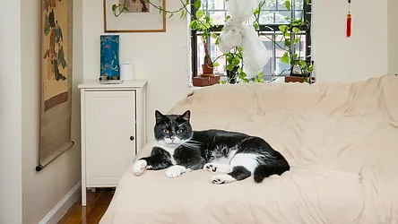 Rented by Nooklyn NYC LLC
