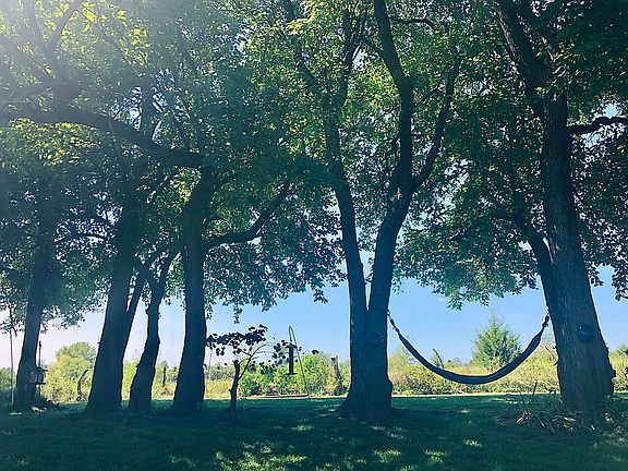 Empty field behind backyard