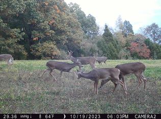 Lusk Rd, Golconda, IL 62938