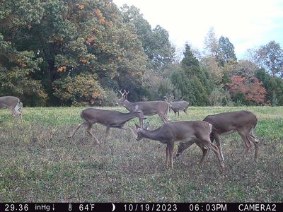 Lusk Rd, Golconda, IL, 62938