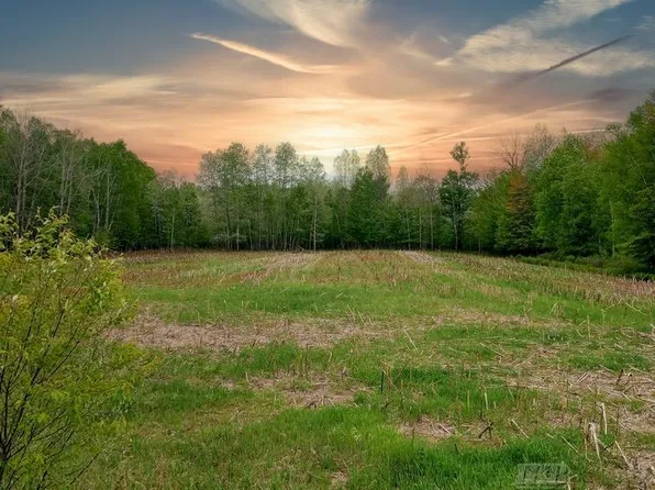 58 Acres NE, Coleman, MI 48618