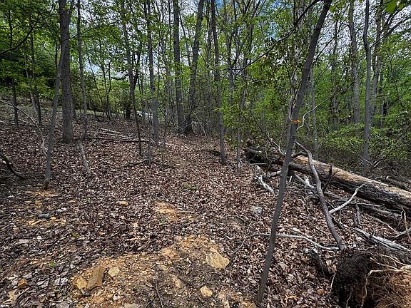 2nd image of 1832 Ridge Rd
