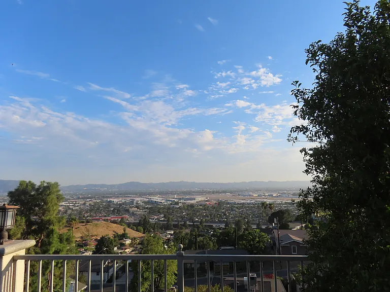 Backyard View