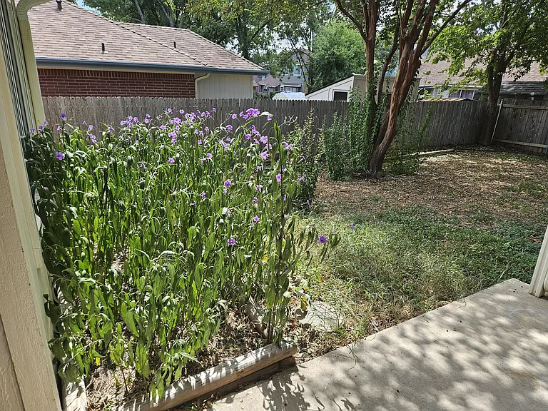 2201 Fuzz Fairway — Photo 23
