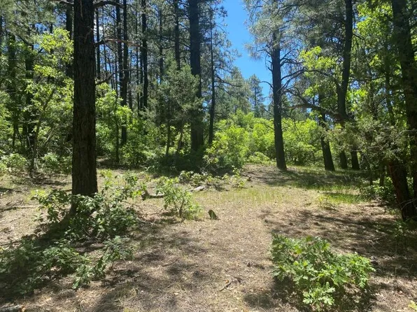 Unit 4 Tract #7, Chama, NM 87520