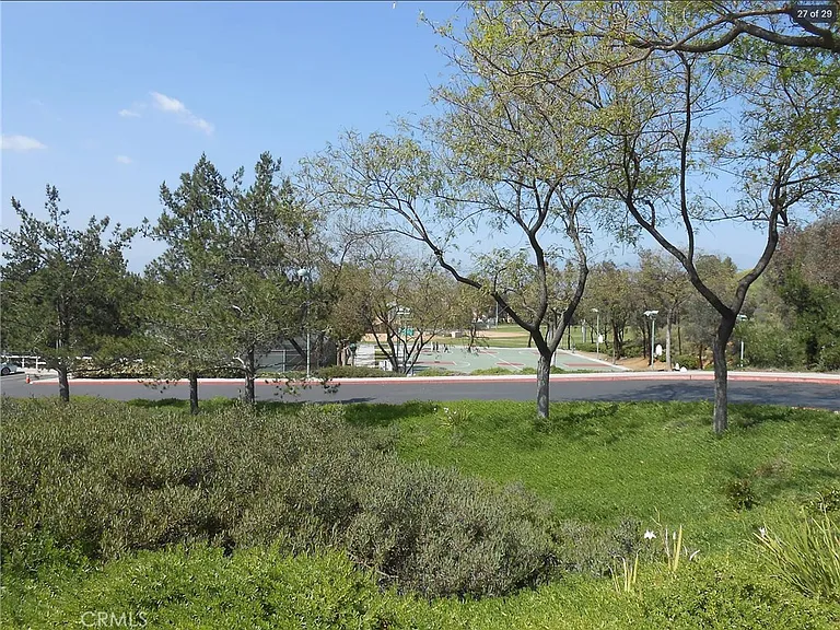 903 Pantera Dr — Photo 19