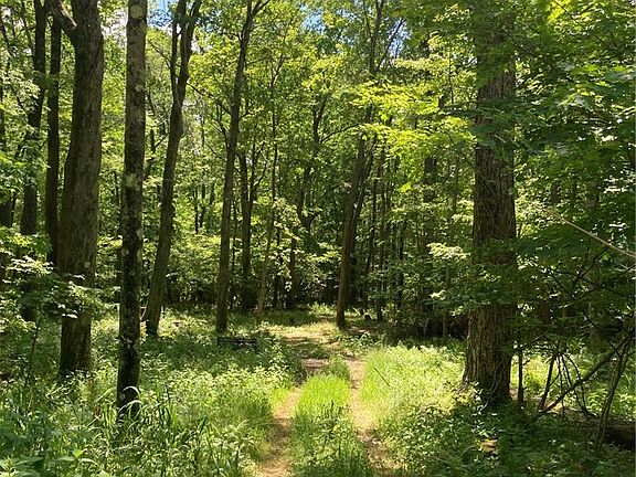 4th image of 0 Sandy Run Rd