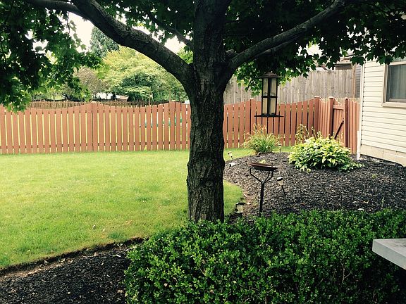 Back Yard 2