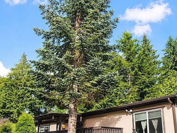 3rd image of 8001 SW 175th Avenue