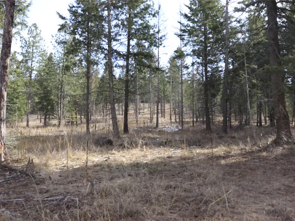 Nkn Bisson Ln, Polson, MT 59860