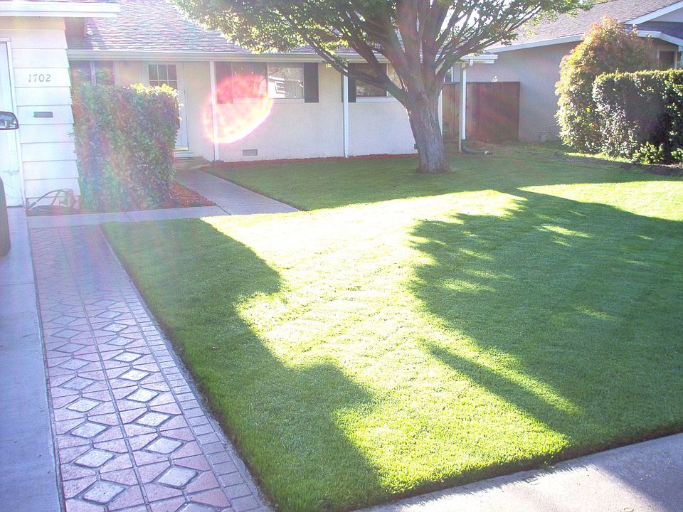 New driveway and pavers