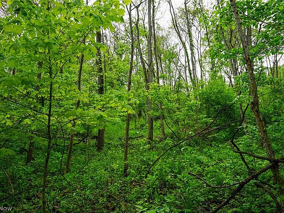 2nd image of Ervin Ln
