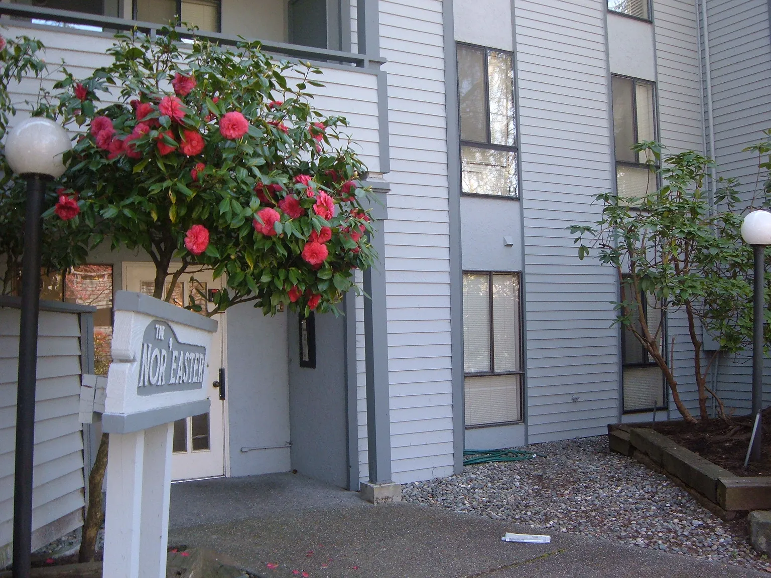 Nor'Easter Apartments — Photo 2