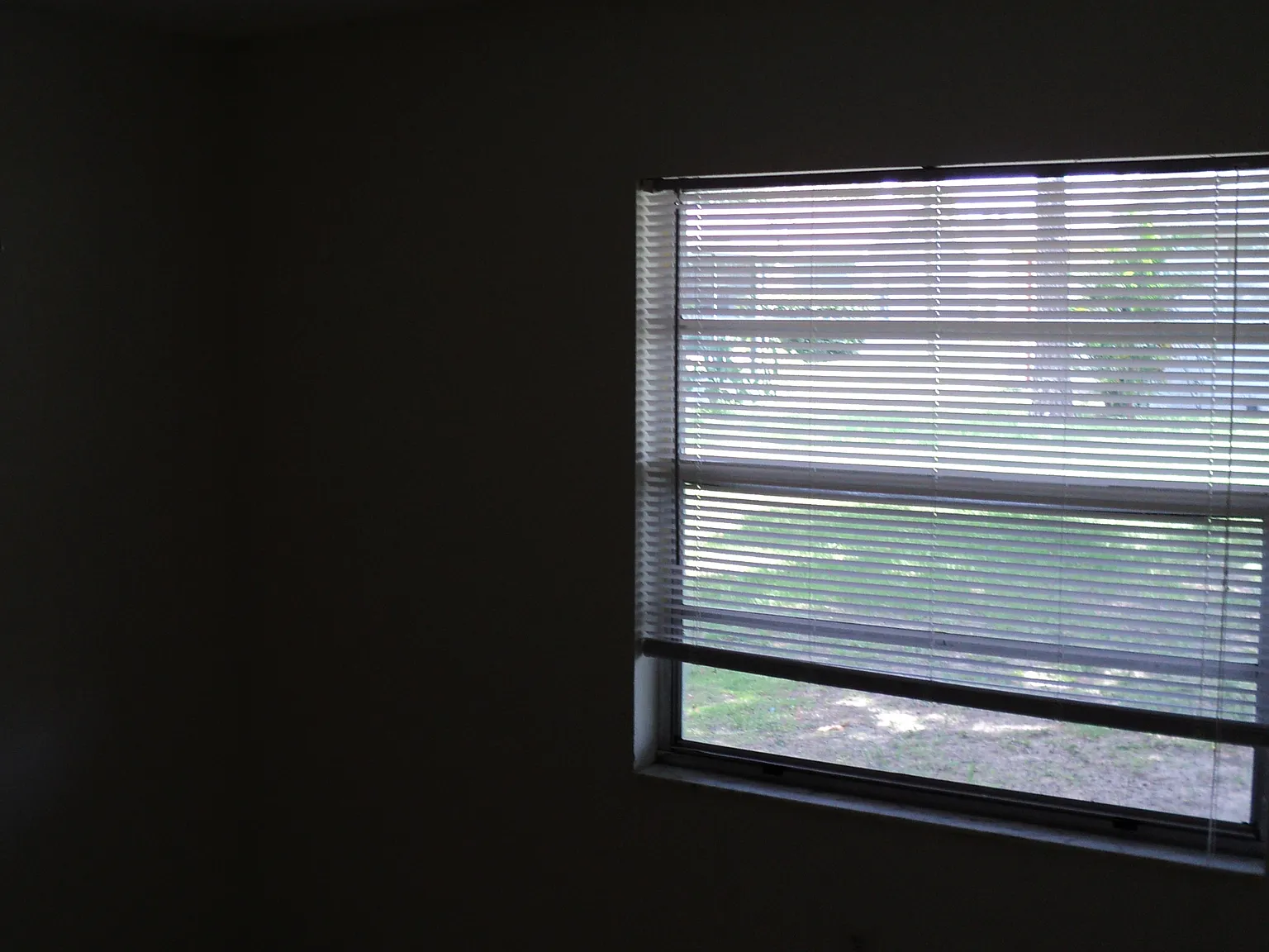 1 bed, 500 sqft, $800 — Photo 3