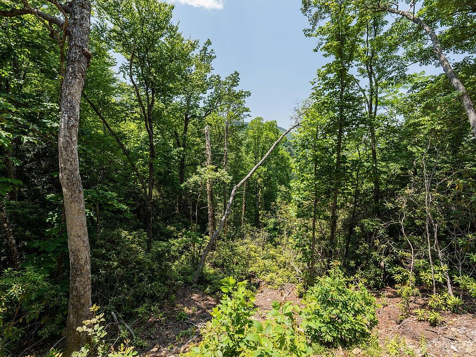 345 Cardinal Bluff Dr Whittier, NC Zillow