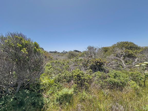 3rd image of 56 Sea Meadow Drive