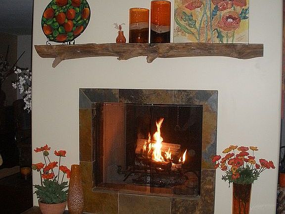 Wood Burning Fireplace 