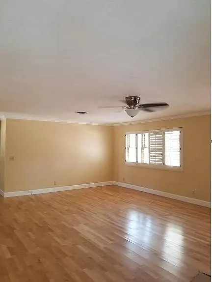 1308 Campbell Dr — Photo 7