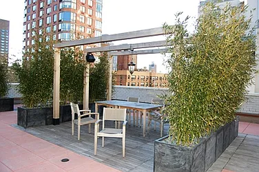 Rented by Alpha Properties NYC I LLC