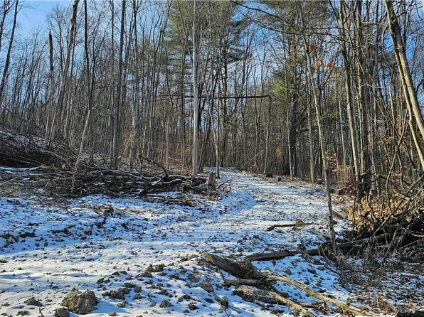 Jenkins Rd, Elmira, NY 14901