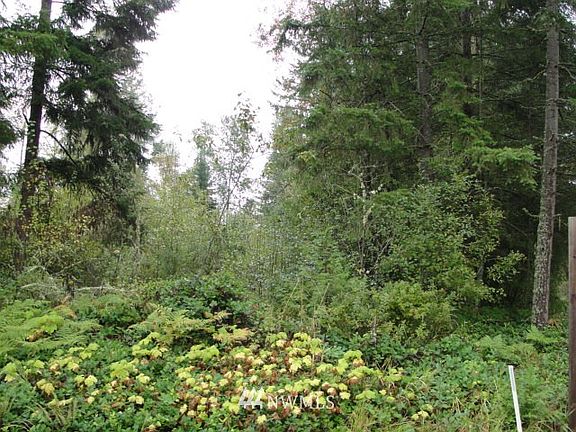 4th image of 38419 Mountain Highway E