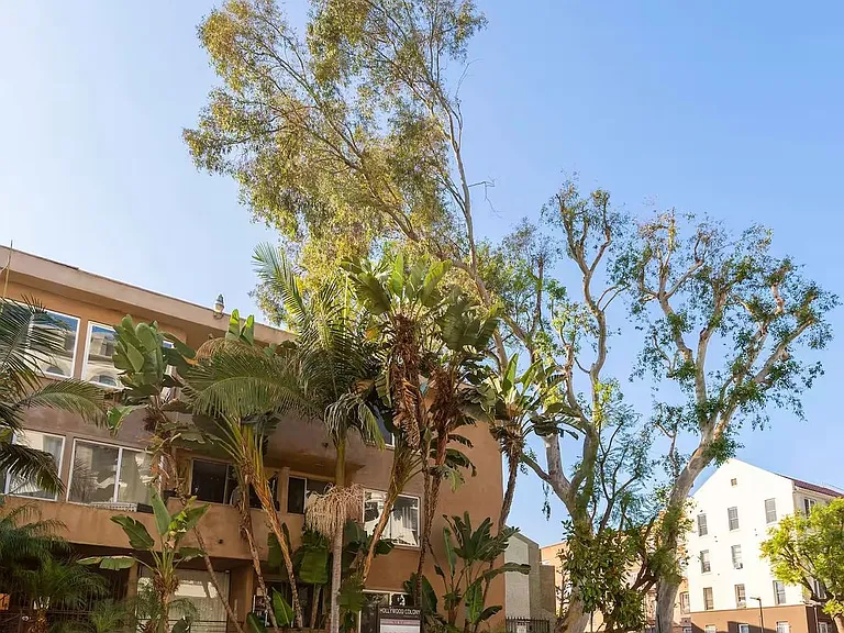 Hollywood Colony — Photo 25