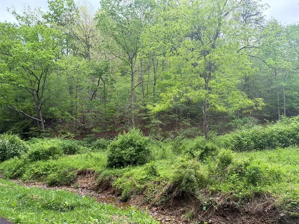 0 Coleman Rd, West Portsmouth, OH 45663