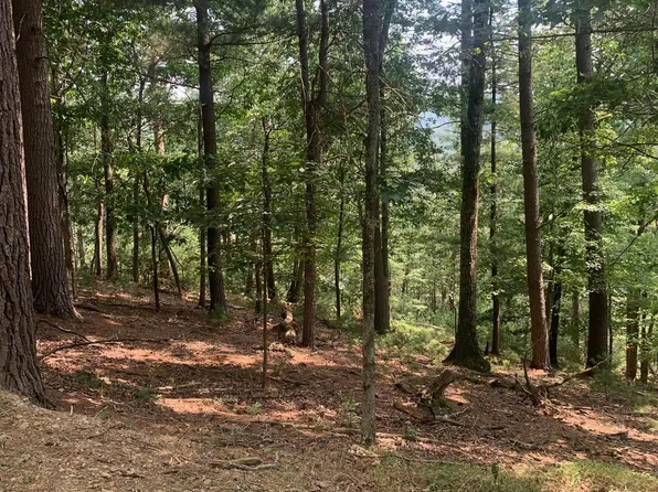 220 Mountain Laurel Ln, Baker, WV 26801